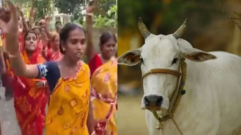 শুরু হয়েছে শীতের মৌসুম, শীতের ফুলে রঙিন প্রকৃতি