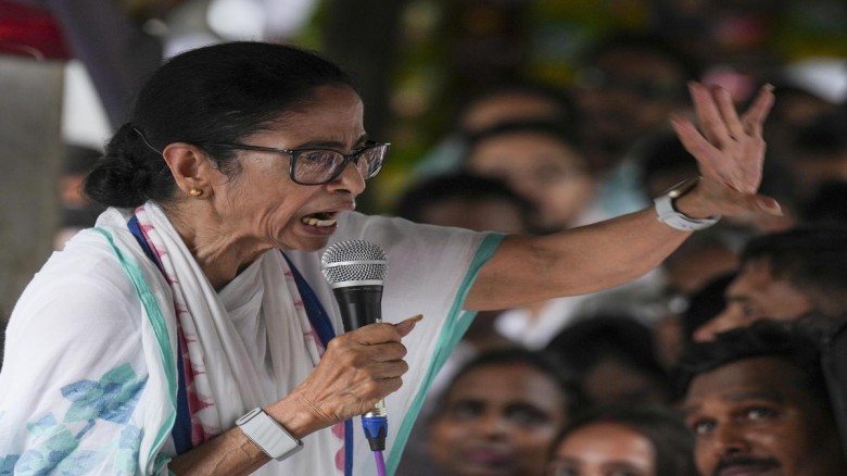শুরু হয়েছে শীতের মৌসুম, শীতের ফুলে রঙিন প্রকৃতি